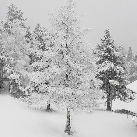 Setcases-vallter Mitja Pensio 5 Pensionat 3*