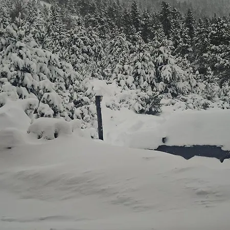 Πανσιόν Setcases-vallter Mitja Pensio 5 Setcases